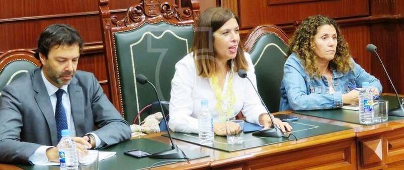 Imagen de archivo de un Pleno presencial en las Casas Consistoriales de Telde